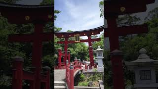 日本福井敦賀氣比神宮，日本三大木造大鳥居之一。Tsuruga Kihi Shrine is one of the three largest wooden torii gates in Japan