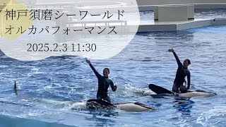 神戸須磨シーワールド　オルカパフォーマンス　2025.2.3 11:30