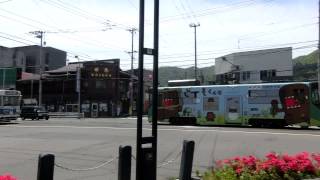 函館市電　Japan Hakodate City Tram ( Street Car ) 8005 and 8101 with flower