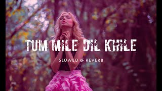Tum Mile Dil Khile ( slowed + reverb ) Sleep Lofi songs