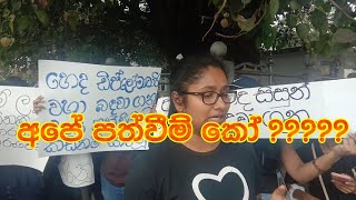 හෙද ඩිප්ලෝමා සිසුනුත් මහපාරේ