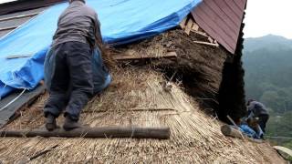 Thatch Roof Construction