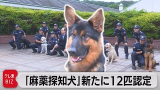 麻薬探知犬12匹を新たに認定（2022年6月16日）