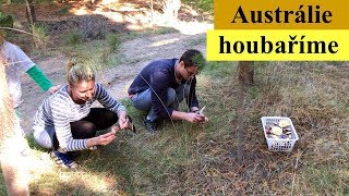 Austrálie -  jdeme na houby {smazenice s pivem}