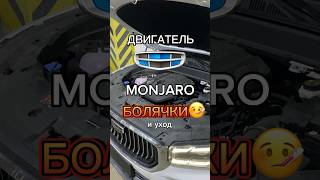 Двигатель Geely Monjaro болячки. JLH-4G20TDB китайская версия мотора B4204T23 от Volvo.