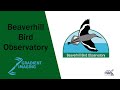 Beaverhill Bird Observatory