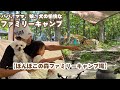 【ファミリーキャンプ】娘、犬、パパ、ママの愉快なキャンプ inぽんぽこの森ファミリーキャンプ場