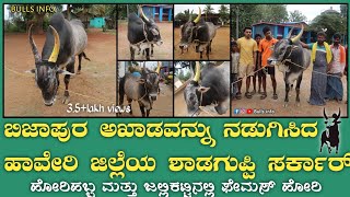 Shadguppi sarkar 147 | ಬಿಜಾಪುರ್ ಕಾರಹುಣ್ಣಿಮೆ ಹಬ್ಬದಲ್ಲಿ ಅಭಿಮಾನಿಗಳ ಮನಸ್ಸು ಗೆದ್ದ ಶಾಡಗುಪ್ಪಿ ಸರ್ಕಾರ್