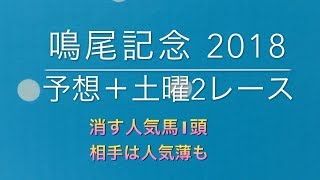 【競馬予想】 鳴尾記念 2018 ＋ 戎橋特別 稲村ヶ崎特別