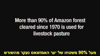 כיצד נציל את העולם משואה אקולוגית?