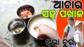 ଆଚାର ସହ ପଖାଳ | ଆଜି ଟଭା ଚୁର ଧରା ପଡିଲା |  odia vlog | village life vlog.