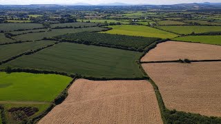 JH2020 Shorts [4K] : Fields in County Wexford