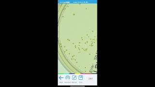 How to automated counting of bacterial colony in petri dish agar plates