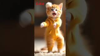 Cat dancing #music viral shorts#viralvideo