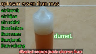 INILAH SAATNYA OPLOSAN JUARA KITA BERIKAN... OPLOSAN ESSEN IKAN MAS CUACA PANAS DAN HUJAN...!!!