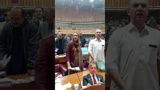 قومی اسمبلی میں زرتاج گل کا راج دیکھ شہباز شریف آبدیدہ ہوگئے #zartajgull #shahbazsharif #foryou