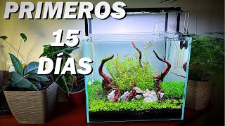 First 15 days in an aquarium with nutritious substrate: Essential advice