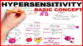 Hypersensitivity Basic Concept