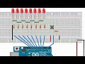 Arduino Binary (8 bit) LED's counter.