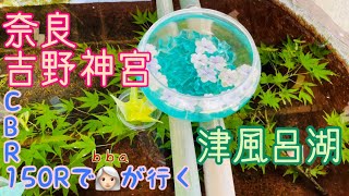 ＊夏の奈良🎐　吉野神宮⛩津風呂湖＊