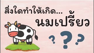 เพิ่มพูนความรู้ทุกวัน กับ 7 คำถามความรู้รอบตัว - คำถามวิทย์ พิชิตข้อสอบ #6