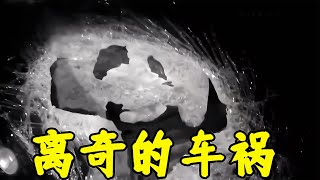 云南曲靖·曲勝高速--離奇的車禍#我的觀影報告 #大案紀實 #專治失眠的驢 #案件 #探案 #懸案 #懸疑