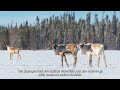 série de vidéos d’apprentissage sur le paysage vidéo 2 paysages forestiers intacts