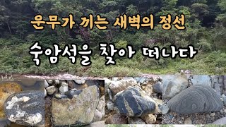 [수석 탐석] 32. 정선의 숙암석 산지를 찾아서.