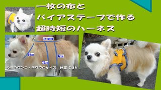 超時短で作る一枚仕立てのハーネス　\u0026　うちの愛犬のサイズ参考にして！