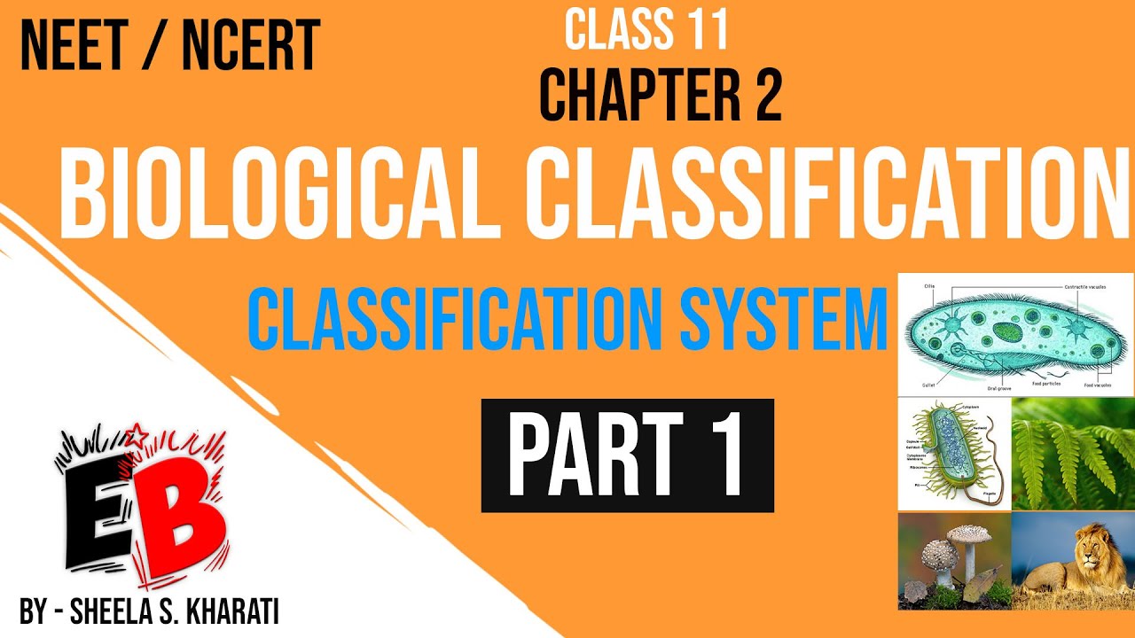 Class 11 : BIOLOGICAL CLASSIFICATION | Chapter 2 - Part 1 ...