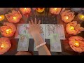 người ấy có thích bạn như bạn mong chờ │kitty tarot