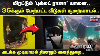 Ooty Bullett Raja Elephant | மிரட்டும் 'புல்லட் ராஜா' யானை.. 35க்கும் மேற்பட்ட வீடுகள் சூறையாடல்..