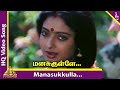 Manasukkulla Nayana Video Song | Mallu Vetti Minor Tamil Movie Songs | Sathyaraj | Seetha | Shobana