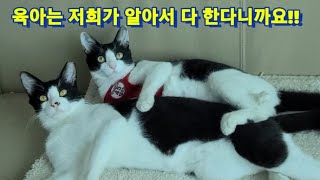 쩡남매의325번째 이야기~~육아 담당이 너무 많아도 머리가 아파요^^