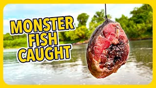 Throwing BIG BAIT for BIG FISH! Alligator gar fishing tips and tricks