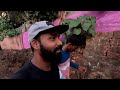 गावाकडच्या क्रिकेटची धम्माल गंप्याच्या टीमला जाम चोपला village cricket vlog @tejagurav