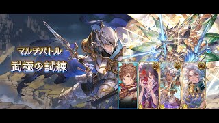 【グラブル】武極の試練 マグナ 8～9T 〆｜[GBF] Martial Mastery Trial Magna No Horus