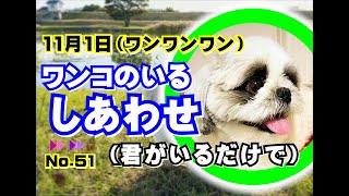 11月1日「犬の日」～ワンコのいる幸せ～をかみしめる