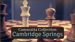 Cambridge Springs Series Chess Pieces With Premium Leather Box - Staunton Camaratta Chess Collection