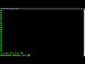 Python Basics - while loops