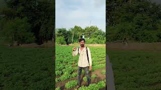 લે ફિર આ ગયે 🤣         #farming #farmer #farminglife #comedy #funnycomedy #trending #gujrati