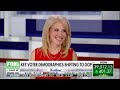Kellyanne Conway The Democrats' mistake is 'coming back to bite them'
