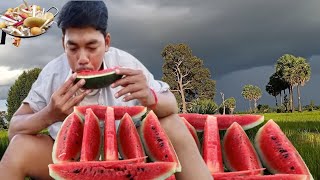 Ripe watermelon ផ្លែឪឡឹកទុំ