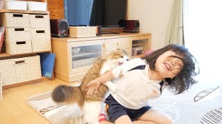 子供と超本気のじゃれあいバトルを始める猫