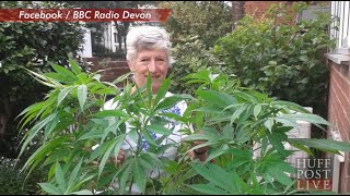 British Woman Baffled By Mysterious Weed