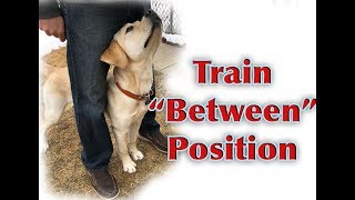 Dog Training Tutorial: "Between" Position