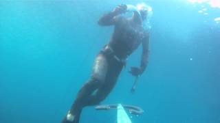 spearfishing malta young great amberjack 2012