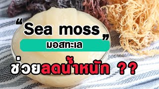 EP66. Sea moss ช่วยลดน้ำหนักจริงหรือไม่ (sea moss gel) | Nack Knowledge