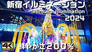 Shinjuku Central Park Illumination 2024: Fantastic and beautiful lights!