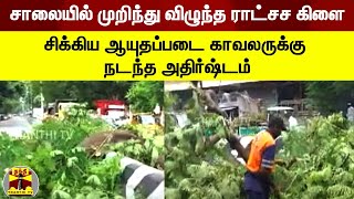 சாலையில் முறிந்து விழுந்த ராட்சச கிளைகளில் சிக்கிய ஆயுதப்படை காவலருக்கு நடந்த அதிர்ஷ்டம் | Chennai